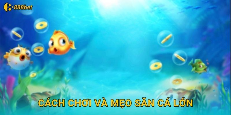 Cách Chơi Và Mẹo Săn Cá Lớn