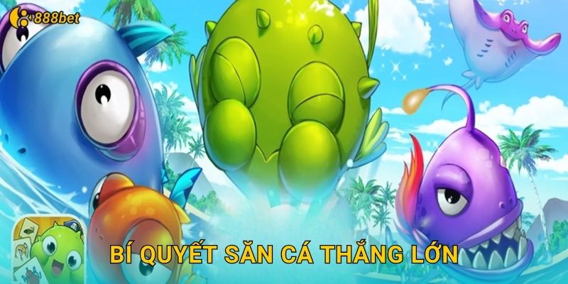 Bí Quyết Săn Cá Thắng Lớn