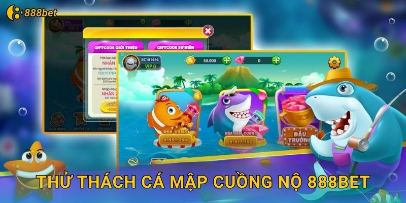 Thử Thách Cá Mập Cuồng Nộ 888bet