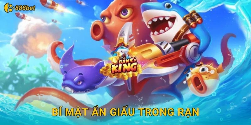 Bí Mật Ẩn Giấu Trong Rạn
